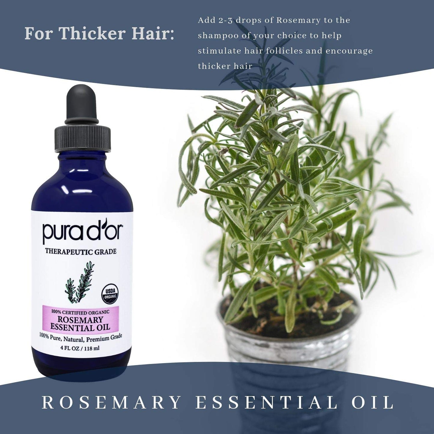 PURA D'OR Organic Rosemary Essential Oil